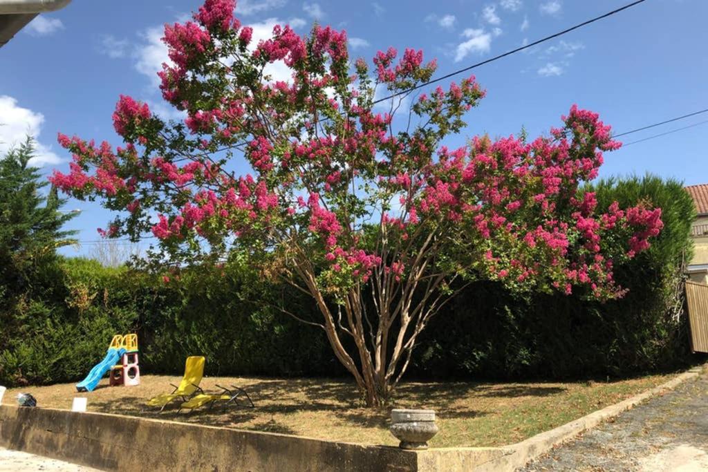 Au Lilas Rose Maison Entre Campagne Et Village Belvès Buitenkant foto